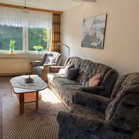 Haus Wiesenblick Walkenried エクステリア 写真