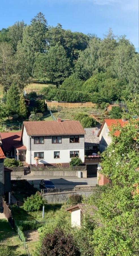 Haus Wiesenblick Walkenried エクステリア 写真
