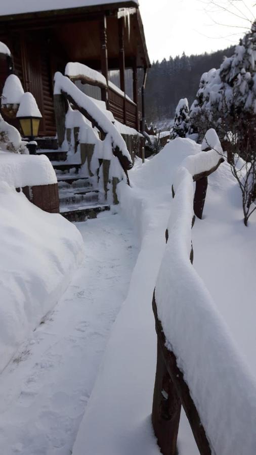 Haus Wiesenblick Walkenried エクステリア 写真