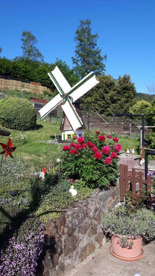 Haus Wiesenblick Walkenried エクステリア 写真
